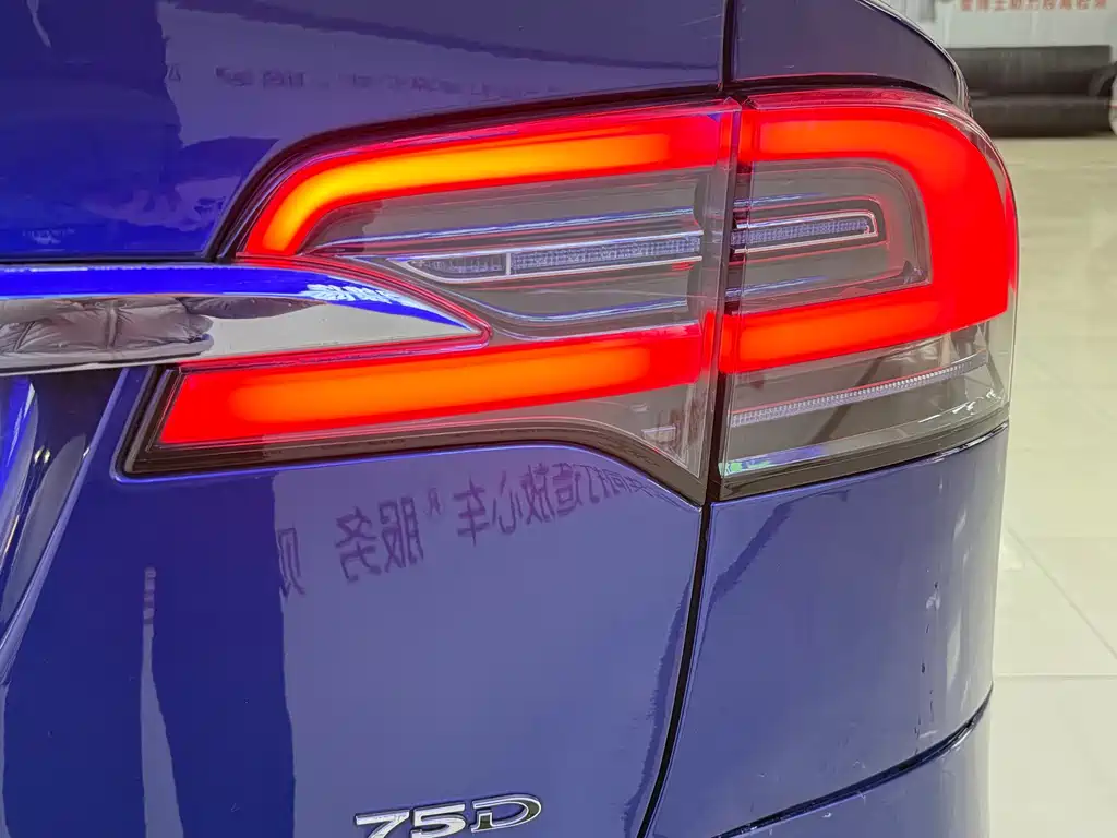 Tesla Model X 2018 — фото 9
