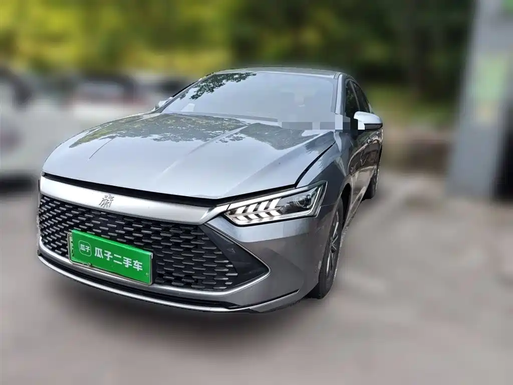 BYD Qin PLUS 2024 — фото 1