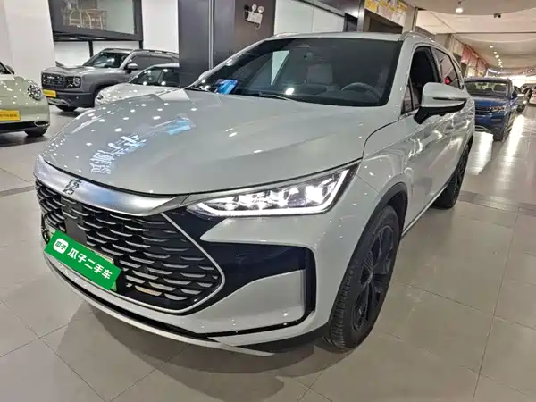 BYD Tang New Energy 2024