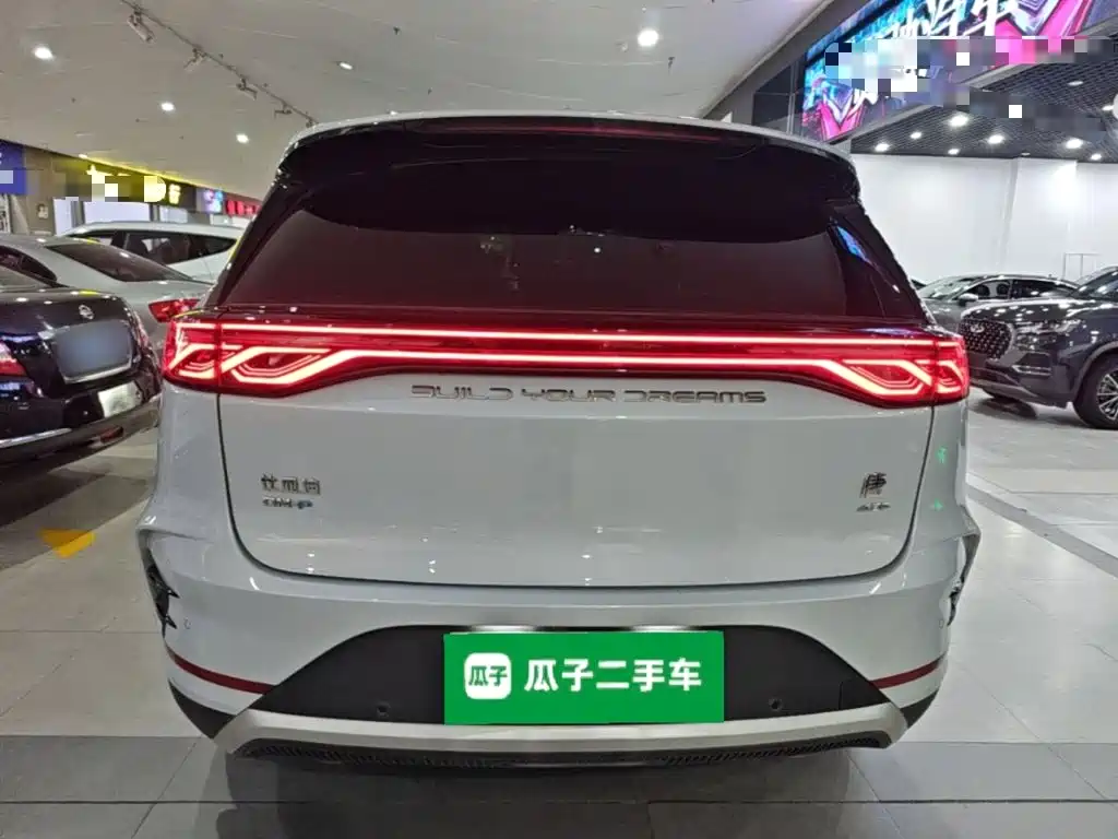 BYD Tang New Energy 2024 — фото 6