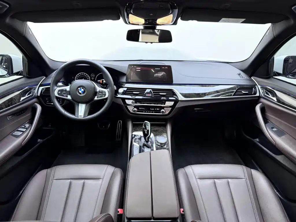 BMW 5 Series 2019 — фото 10