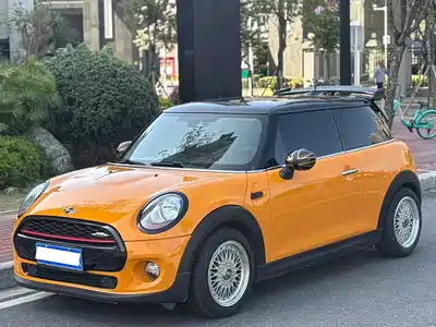 MINI MINI 2014