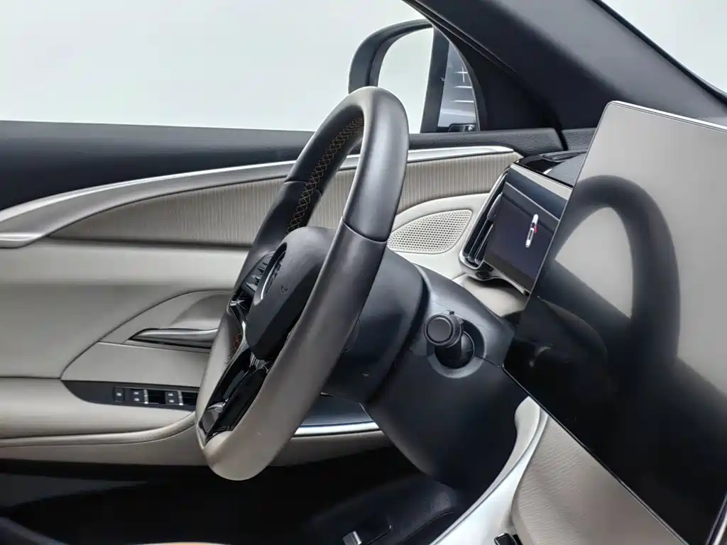 BYD Song Pro New Energy 2025 — фото 22