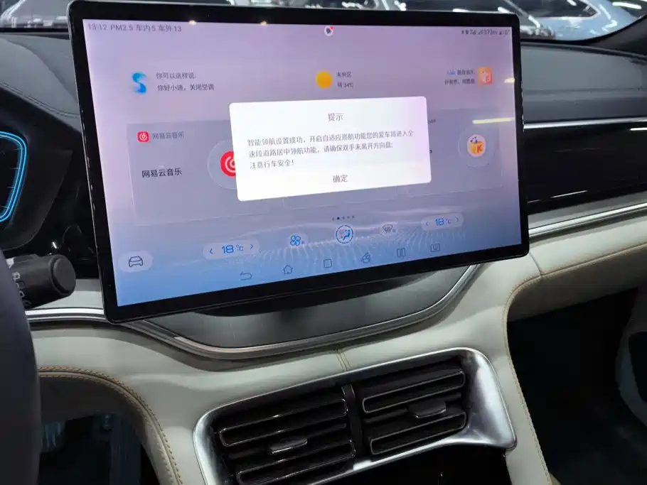 BYD Song PLUS New Energy 2022 — фото 13