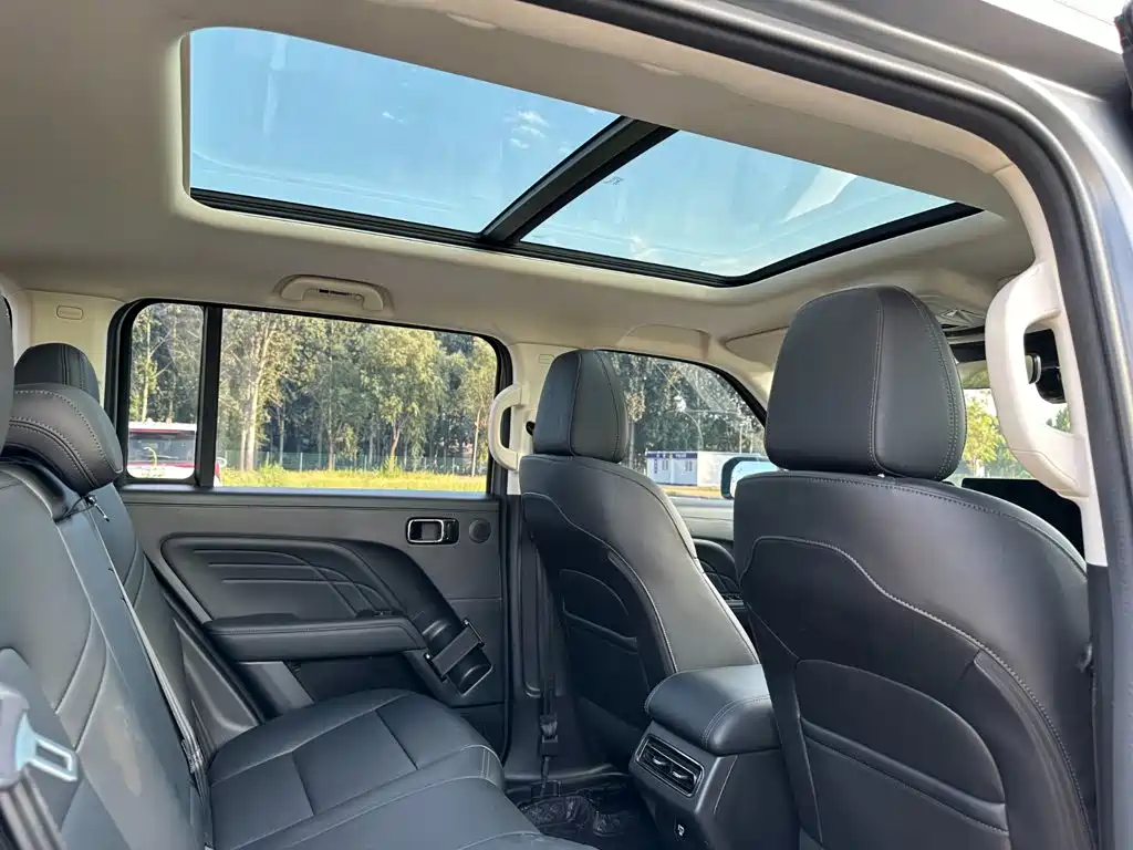 Haval Raptors New Energy 2025 — фото 20