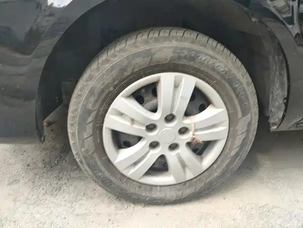 Dongfeng Lingzhi 2024