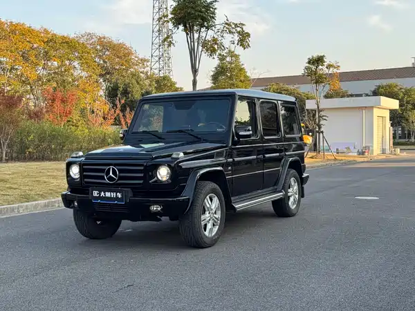 Mercedes-Benz G-Class 2011