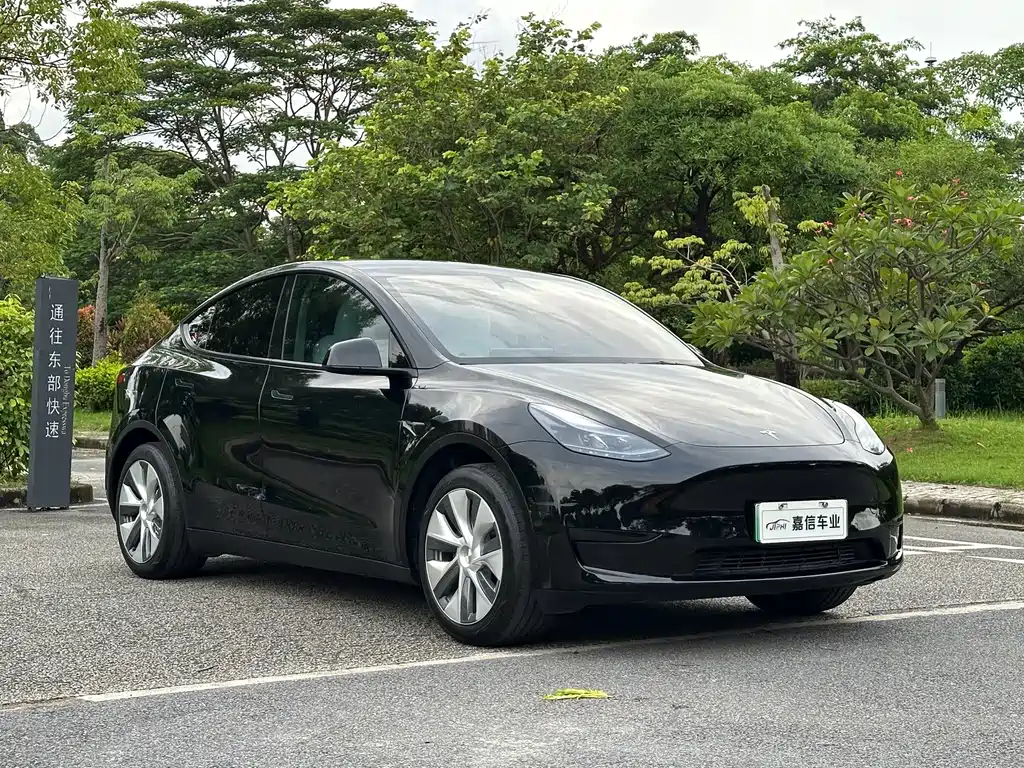 Tesla Model Y 2023 — фото 2