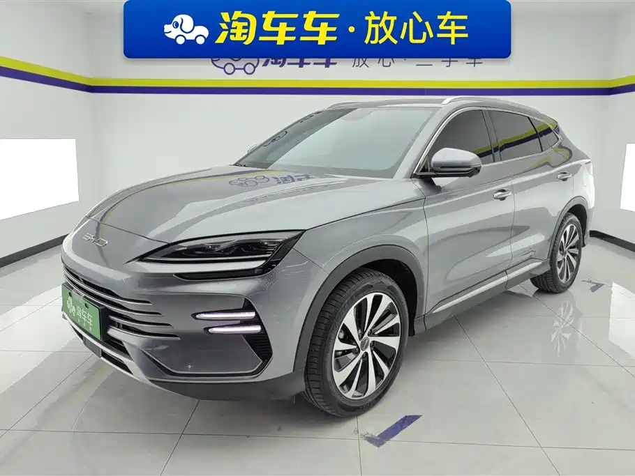 BYD PLUS New Energy 2024 — фото 1