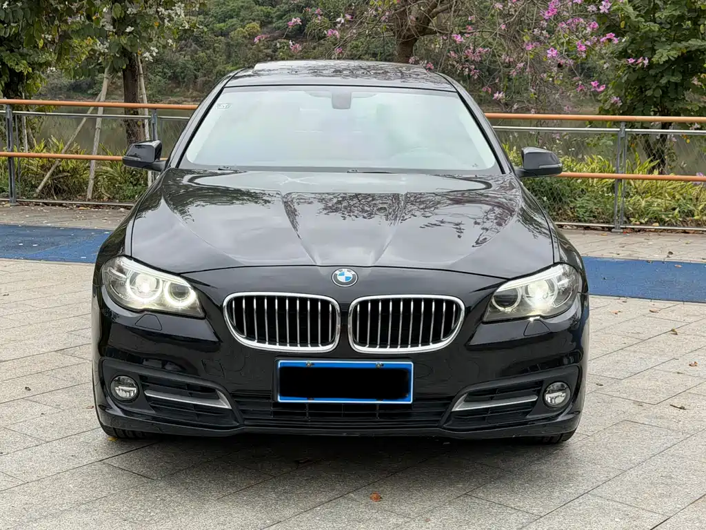BMW 5 Series 2014 — фото 2