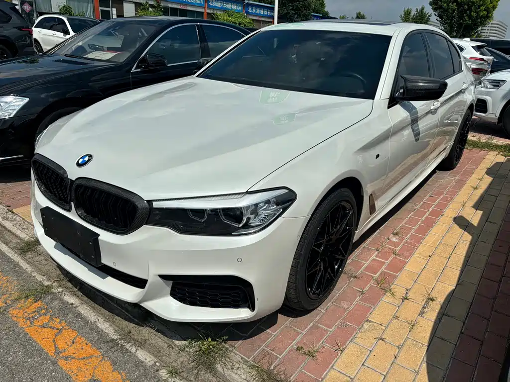 BMW 5 Series 2019