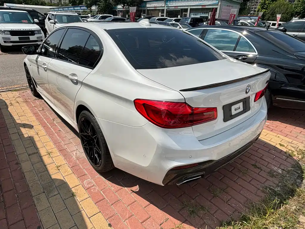 BMW 5 Series 2019