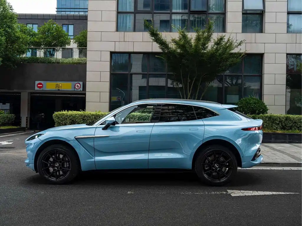 Aston Martin DBX 2022 — фото 14