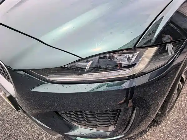 Jaguar XEL 2024