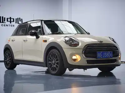 MINI MINI 2015