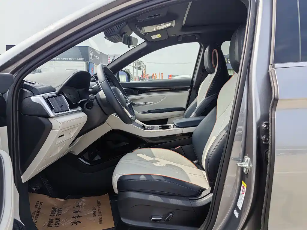 BYD PLUS New Energy 2023 — фото 4