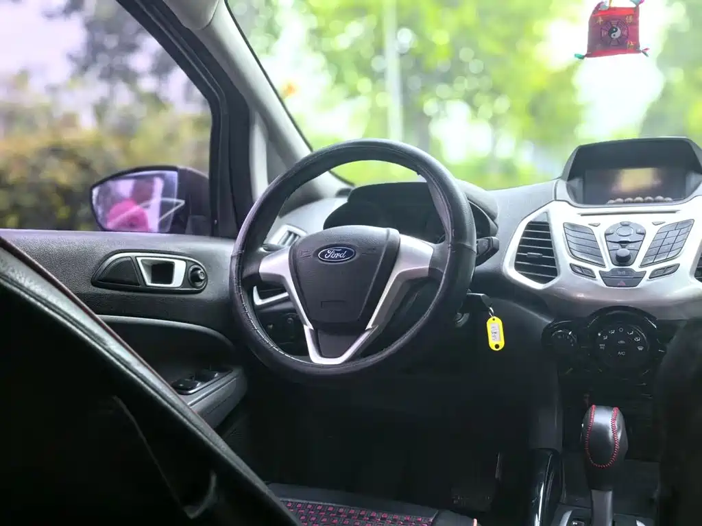 Ford EcoSport 2013 — фото 13
