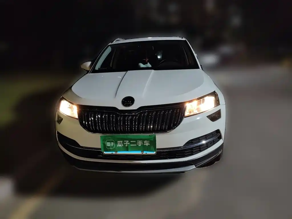 Skoda Karoq 2019 — фото 23
