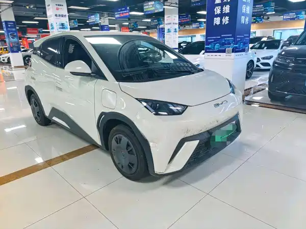 BYD Seagull 2024