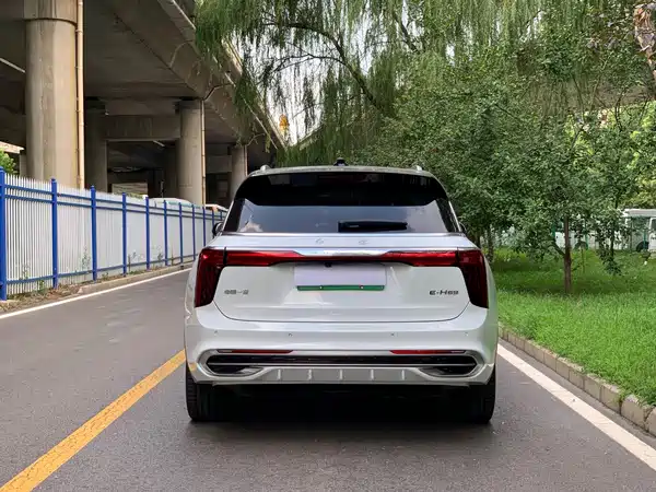 Hongqi E-HS9 2023