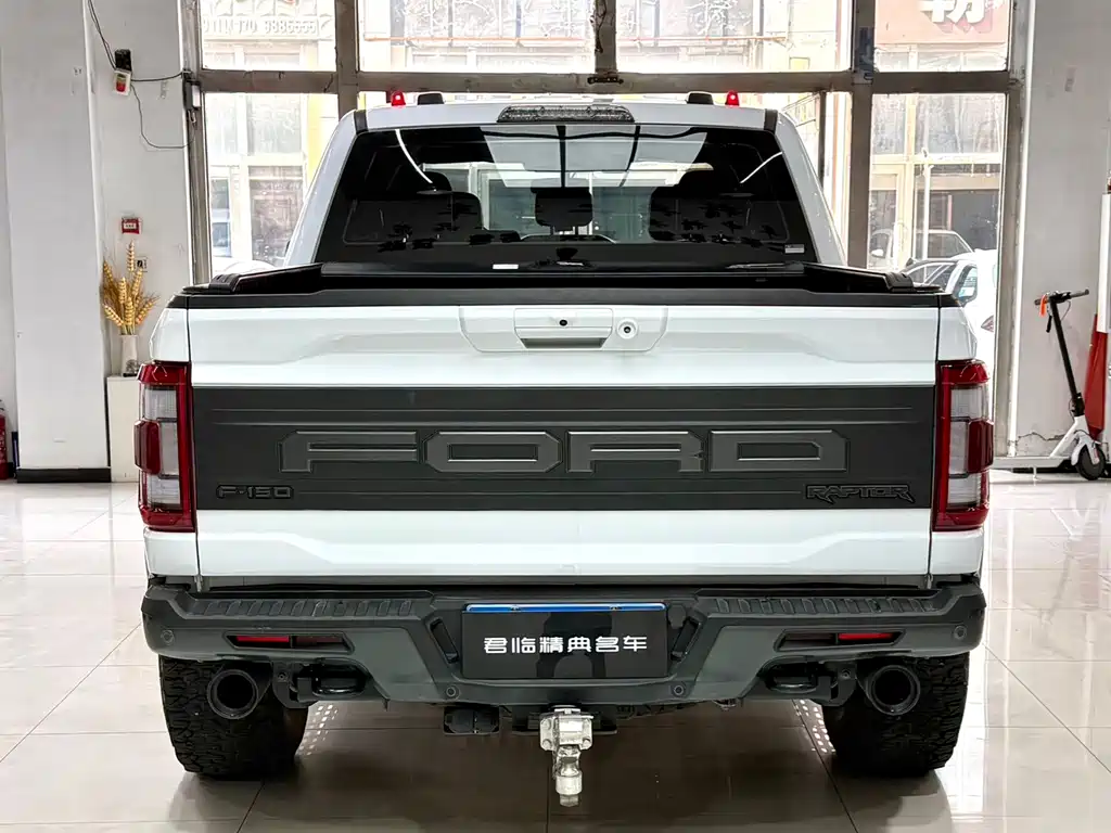 Ford F-150 Raptor 2024 — фото 6