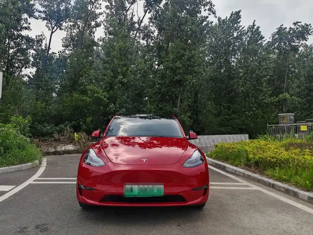 Tesla Model Y 2021 — фото 2