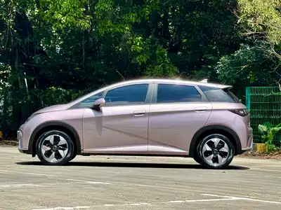 BYD Dolphin 2024