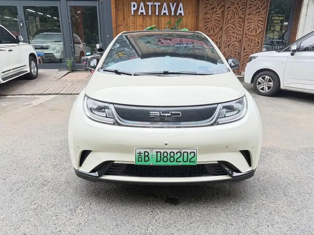 BYD Dolphin 2023