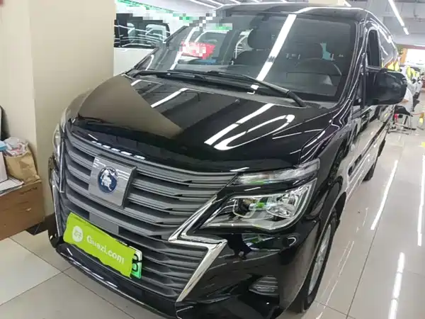 Dongfeng Lingzhi New Energy 2022