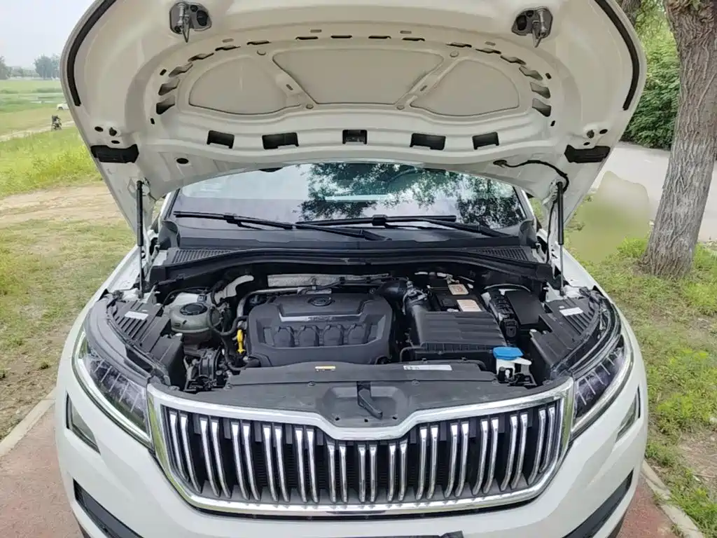 Skoda Kodiaq 2021 — фото 20
