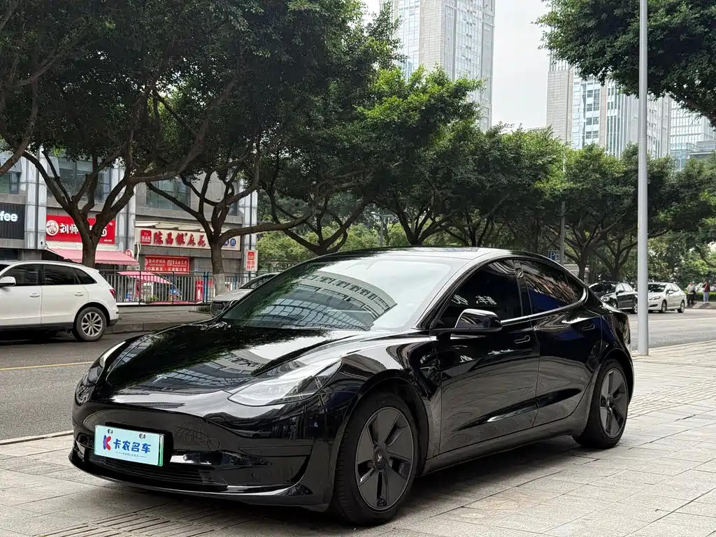 Tesla Model 3 2021