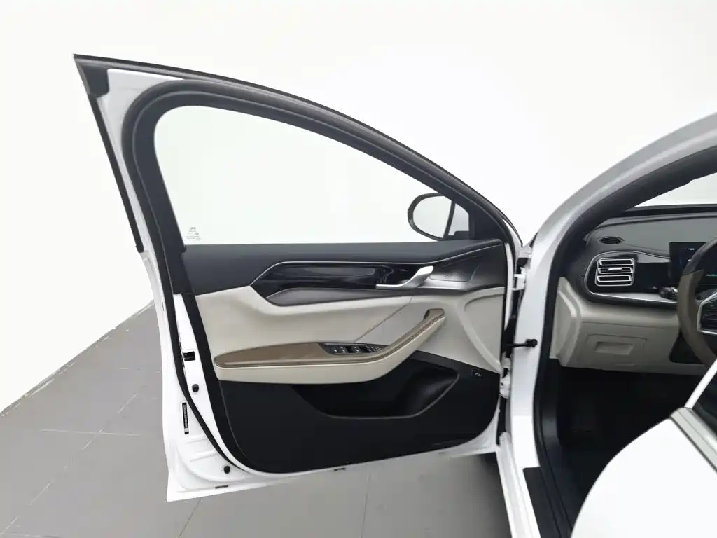 BYD Qin PLUS 2023 — фото 8