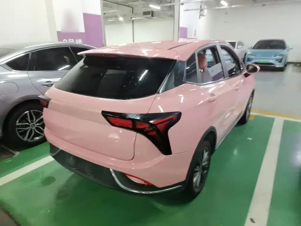 Neta V 2022