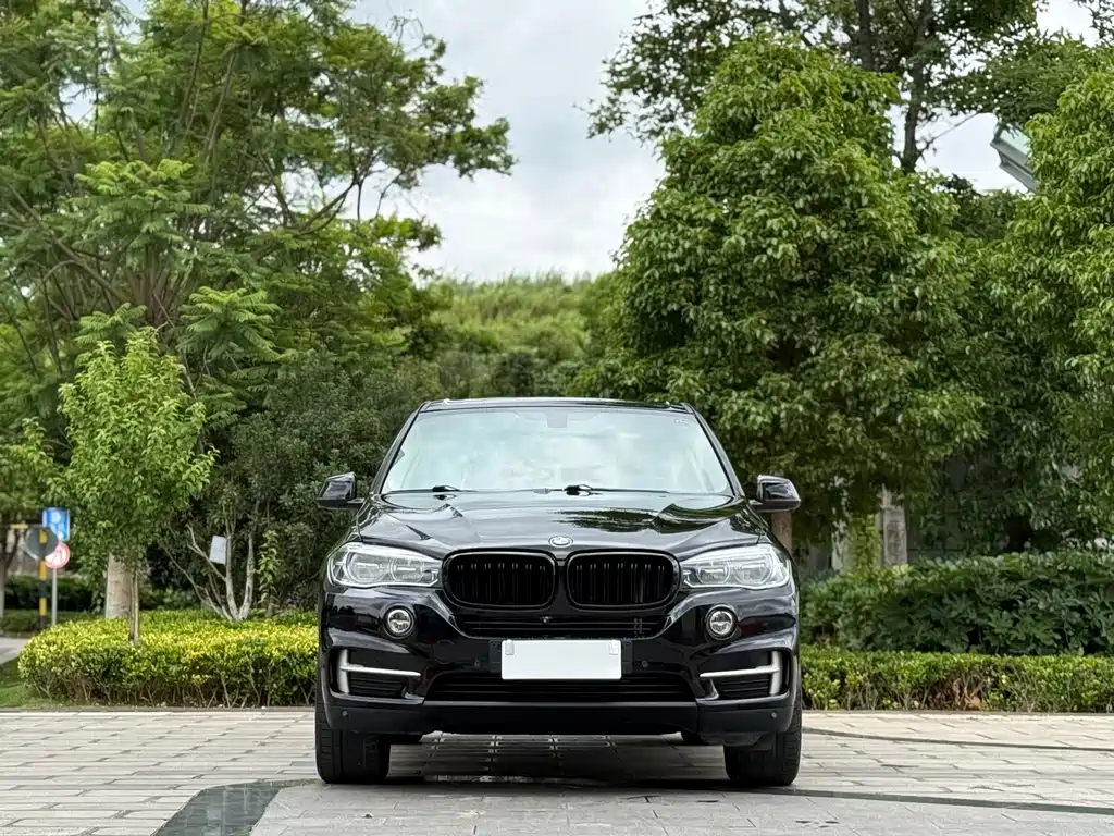 BMW X5 2019