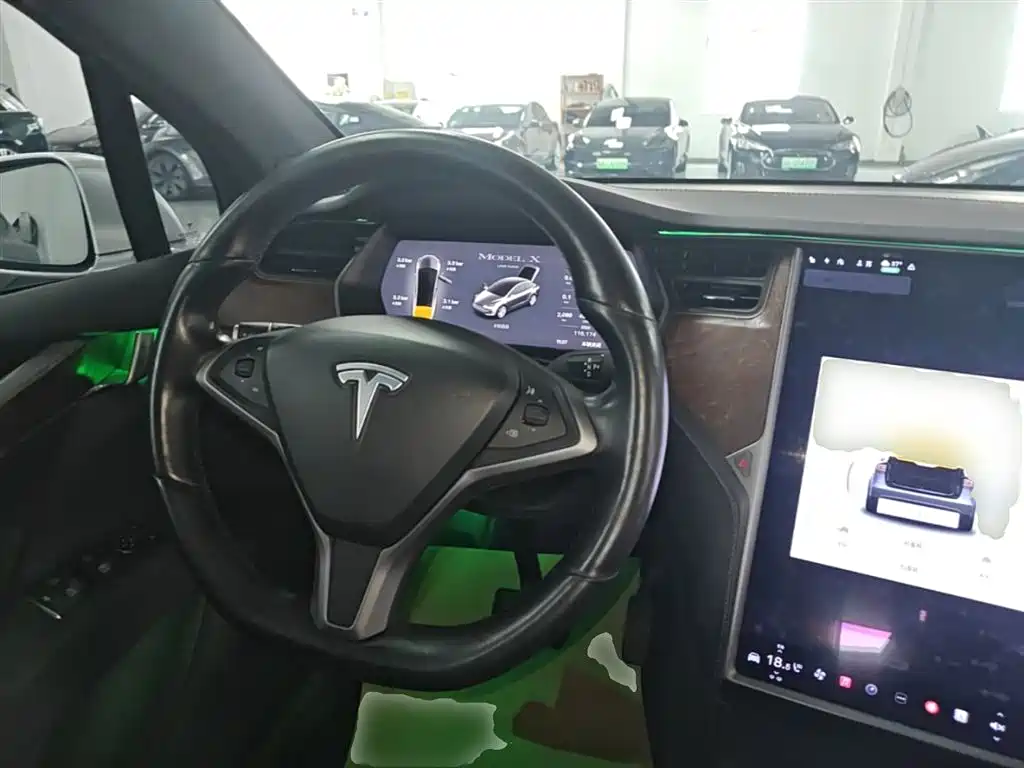 Tesla Model X 2019 — фото 11