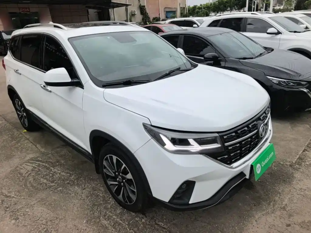 Dongfeng Fengxing T5 2019