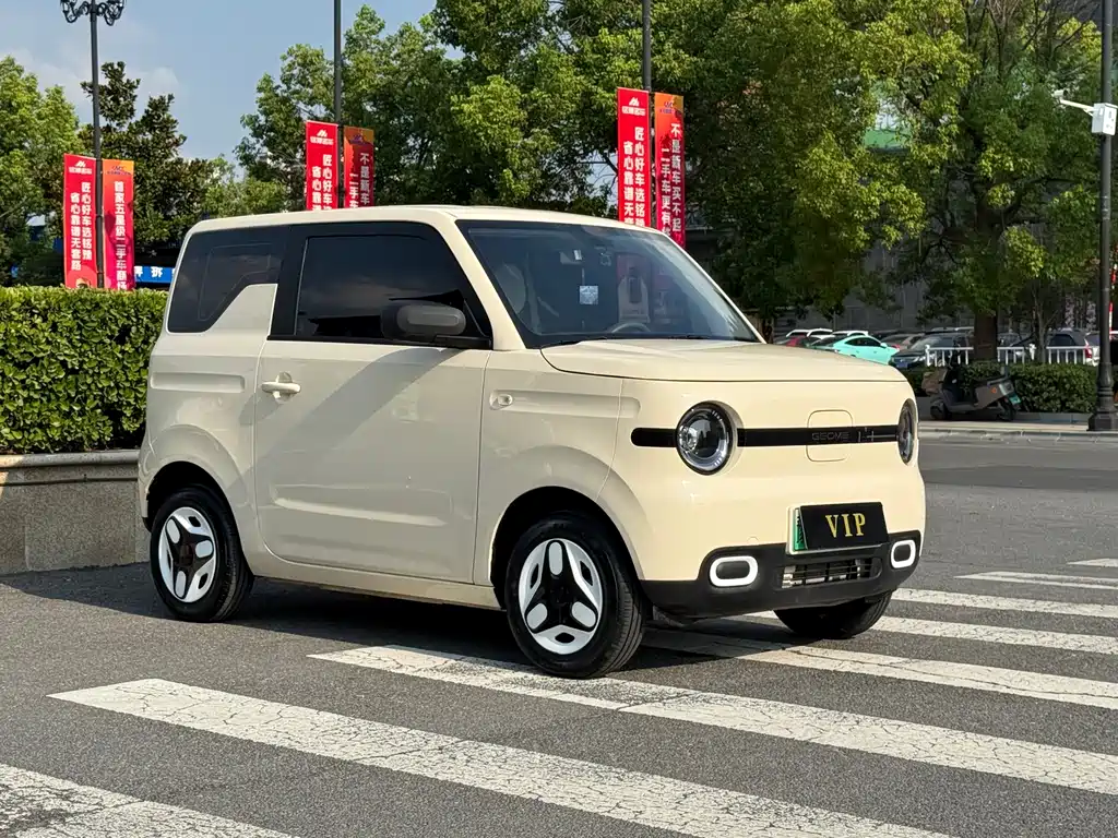 Geely Galaxy Panda 2025