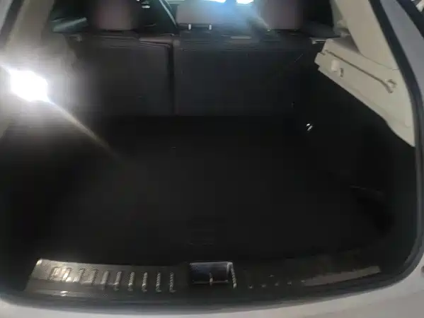 Leapmotor C11 2024