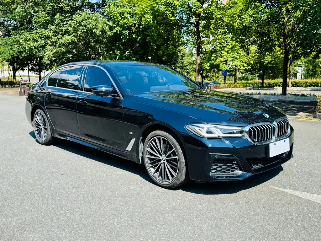 BMW 5 Series 2021
