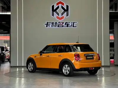 MINI MINI 2015