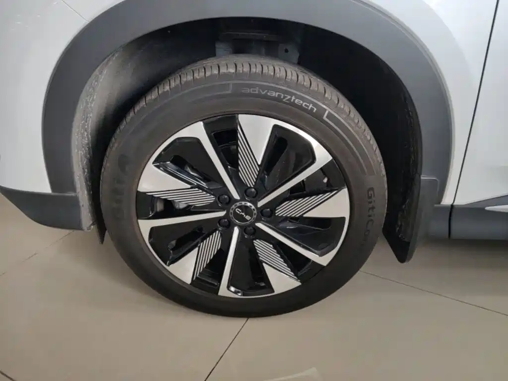 BYD PLUS New Energy 2025 — фото 23