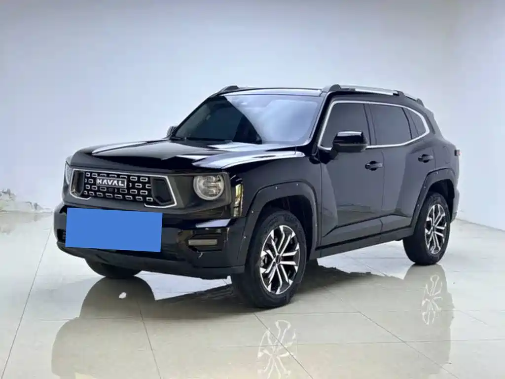 Haval Big Dog 2024 — фото 1