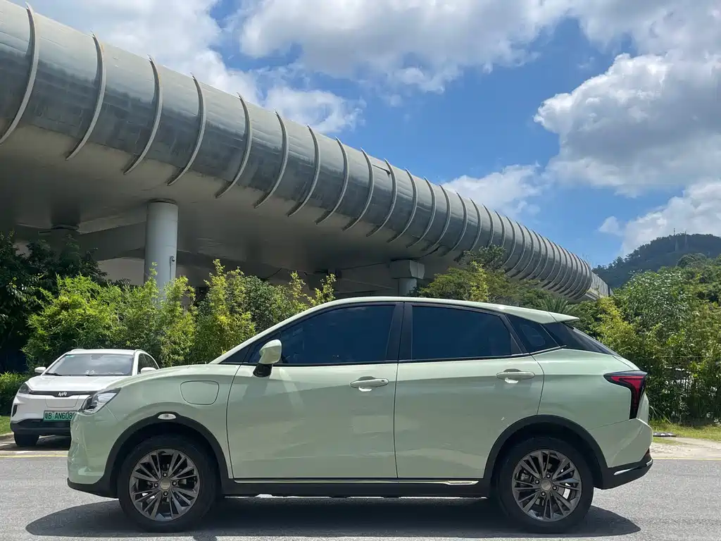 Neta V 2022