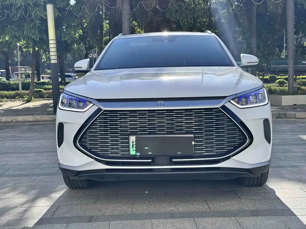 BYD Song PLUS New Energy 2023 — фото 2