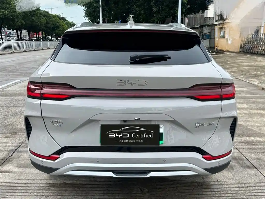 BYD PLUS New Energy 2024 — фото 6