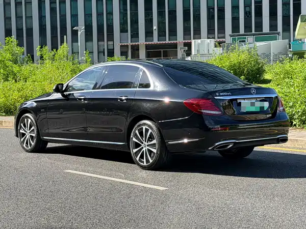 Mercedes-Benz E-Class New Energy 2020