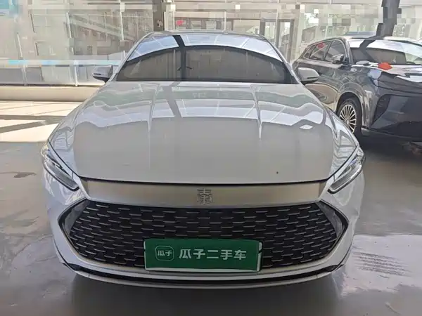 BYD Qin PLUS 2024