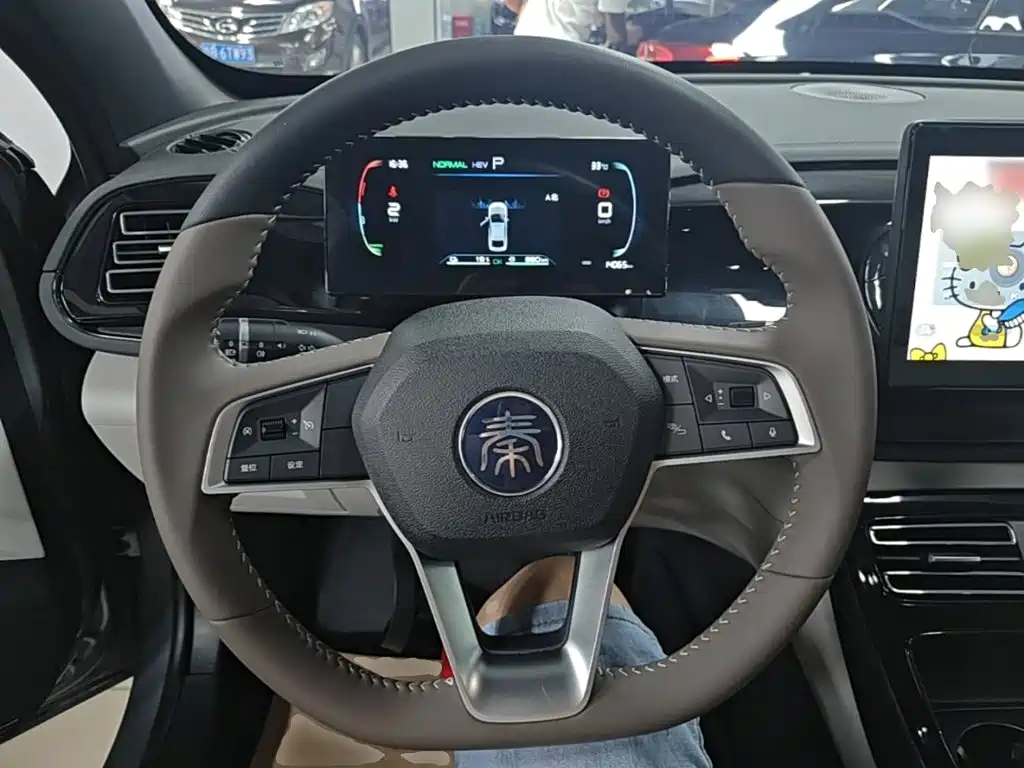 BYD Qin PLUS 2024 — фото 11