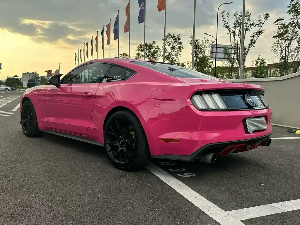 Ford Mustang 2017 — фото 12