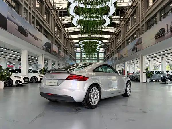 Audi TT 2009